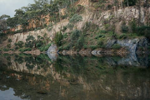 A rocky, tree-covered hillside reflected in still water