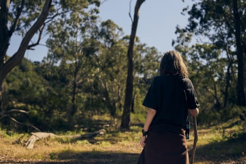 A person walking through sunlit bushland carrying a long stick