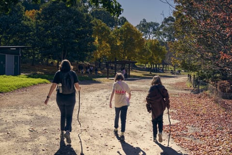Three people walking along a sunlit path through autumn trees