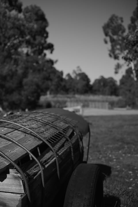 A black-and-white close-up of weathered timber and curved wire beside a tyre